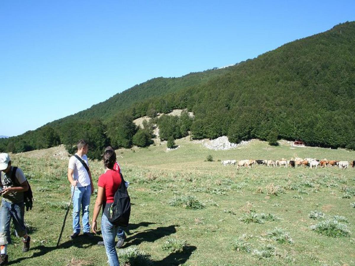 B&B Sole Del Pollino Rotonda Exterior foto